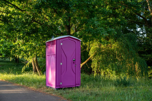 Best Luxury portable toilet rental  in Webster Groves, MO